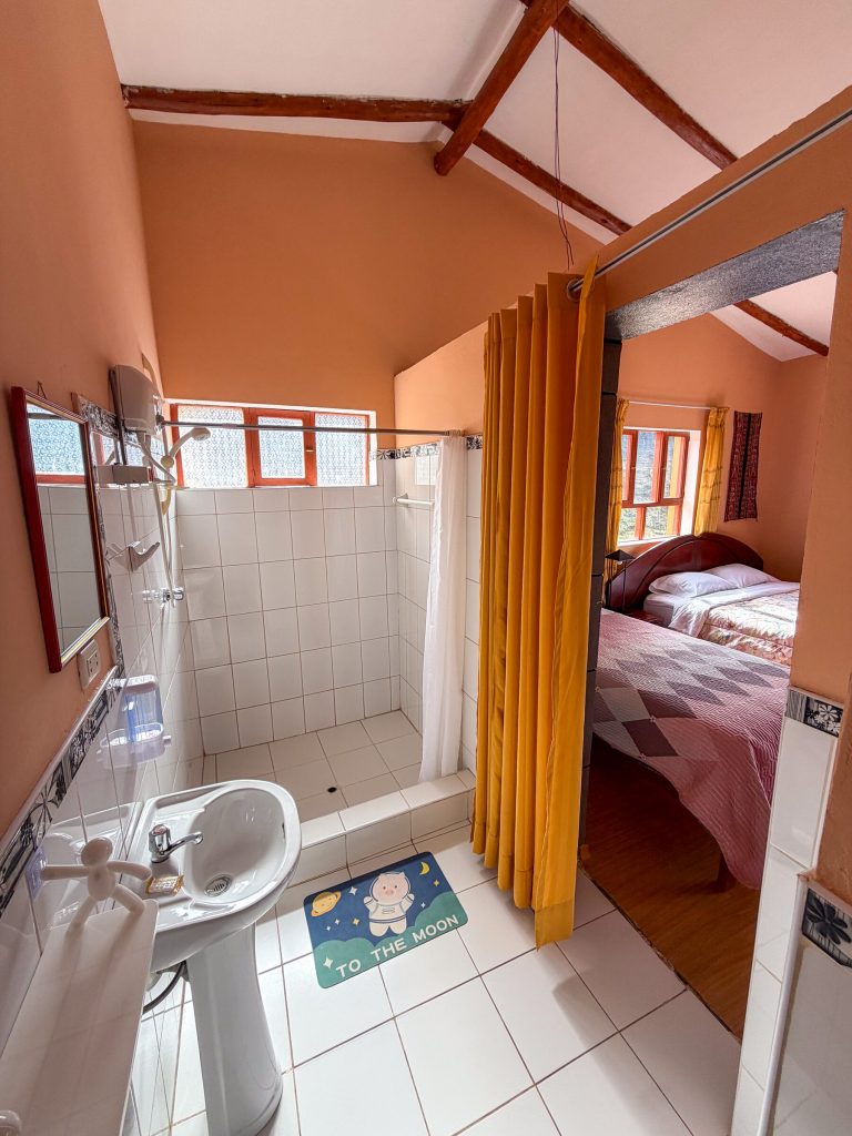 Baño privado con ducha y vista a la habitación